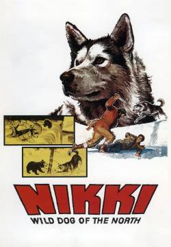 Nikki, il selvaggio cane del Nord - La trappola di ghliaccio (1961)